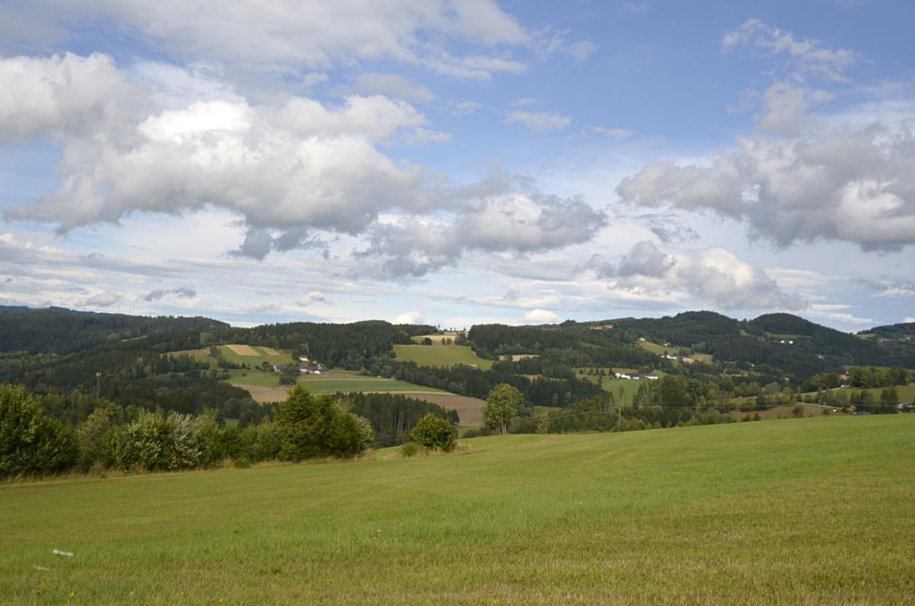 Webermarkt Haslach an der Mühl August 2023 Impressionen